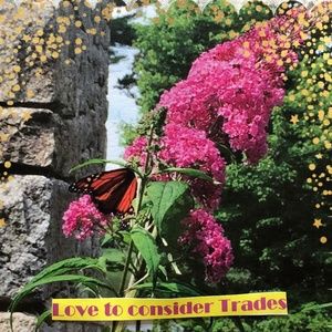 No CASH to spend? I TRADE!!